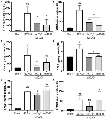 Let-7g* and miR-98 Reduce Stroke-Induced Production of Proinflammatory Cytokines in Mouse Brain